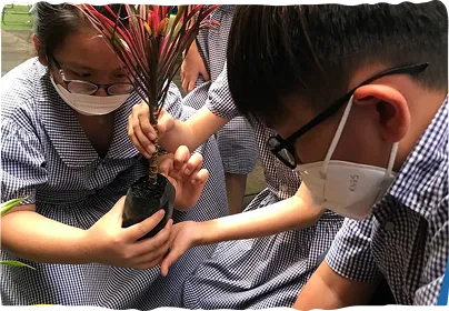 student7
