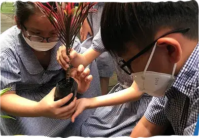 student7